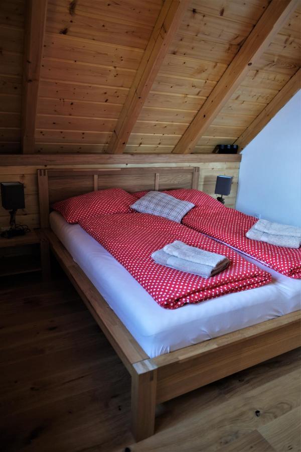 Apartmán u mistra vichra Černý Důl Exteriér fotografie