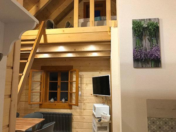 Apartmán u mistra vichra Černý Důl Exteriér fotografie